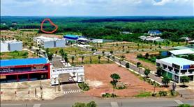 Đất Bình Phước mặt tiền đường xã sát khu dân cư lớn khảo sát xây khu công nghiệ - Ảnh 10