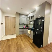 Bán căn hộ 2PN, 1WC tại S105 Vinhomes Ocean Park Gia Lâm, giá ưu đãi 3,2 tỷ, 54m2 full nội thất