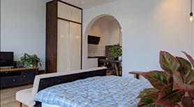 Căn hộ khu vực Sân Bay TSN Tân Bình 2PN -1PN - Ảnh 14