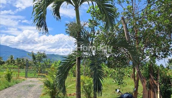 Bán lô đất vườn Thôn 4, Kênh Tây, Xã Bắc Ninh Hòa, Khánh Hòa - Ảnh 1