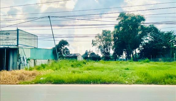 Cần sang lại mãnh vườn (2.540M2) đất thổ cư- shr- ngay chợ, ủy ban, trường học dân đông giá 590 TR - Ảnh 1