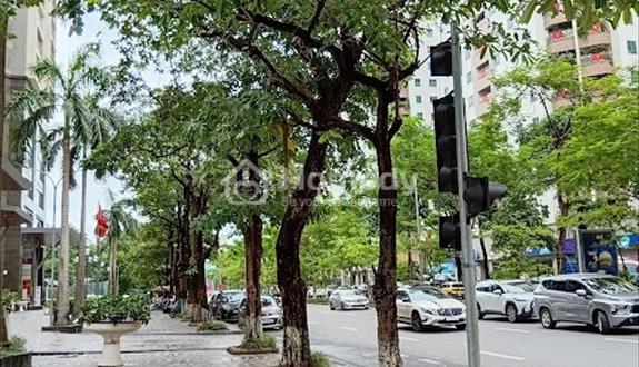 Bán đất mặt ngõ lô góc, ô tô tránh , vuông vắn gần Lê Văn Lương - Ảnh 1