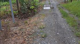 Bán 1.45ha bám 180m mt, đường xe hơi. Đất CLN tại xuân thành, Xuân Lộ. - Ảnh 2