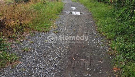Bán 1.45ha bám 180m mt, đường xe hơi. Đất CLN tại xuân thành, Xuân Lộ. - Ảnh 1