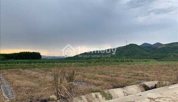 bán lo đất trong cây  3 măt tiên cuôi đương Đồng Khởi- đầu Diên Lâm giá rẻ nhất khu - Ảnh 1