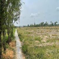 Bán Lô Đất Thổ Cư xã Phước Trung huyện Gò Công Đông Tỉnh Tiền Giang Giá Rẻ