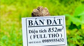 🌿 Em cần bán đất thổ cư - 852 m² - Đất chính chủ 📍 Địa chỉ: Hẻm 95 Hoàng Anh, Tân Khánh, Tân An - Ảnh 6