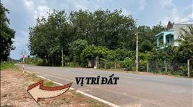 Cơ hội vàng đầu tư đất mặt tiền kinh doanh Chơn Thành - Ảnh 5