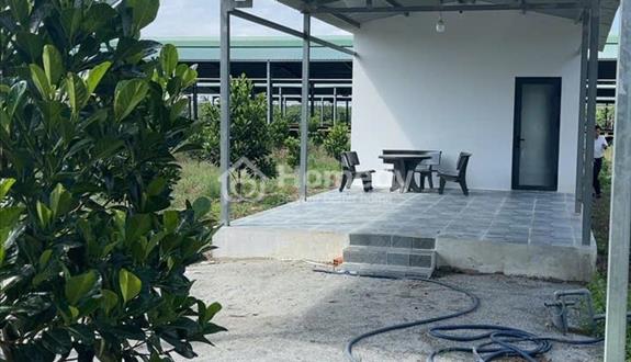 Bán đất có nhà tại Phú Giáo Bình Dương giá chỉ 860 triệu - Ảnh 1