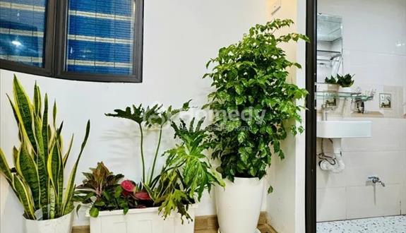 Nhà đẹp Hiếm ở Ngọc Hà - Ba Đình - 03 Ngủ Ở ngay - vị trí tốt - trung tâm VIP - Ảnh 1