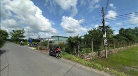 485m² thổ cư nhựa Nhựt Chánh. Cách uỷ ban 200m - Ảnh 3