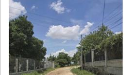 Lô đất đẹp Quốc Lộ 1A , Xã Sông Lũy, Huyện Bắc Bình, Bình Thuận - Ảnh 2