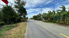 2657m đất chuyển full thổ-làm kho bãi, nhà vườn,... - Ảnh 3
