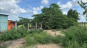 485m² thổ cư nhựa Nhựt Chánh. Cách uỷ ban 200m - Ảnh 2