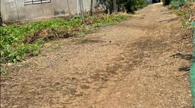 Lô đất 1000m² (ngang 10m), sổ hồng riêng, đường 3m, gần chợ, nhà thờ suối nho - Ảnh 4