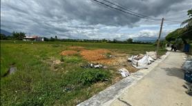 Cần bán 4 lô đất thổ cư 100% đường Minh Mạng, Ninh Hoà, ô tô vào tận cổng - Ảnh 5
