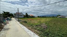 Cần bán 4 lô đất thổ cư 100% đường Minh Mạng, Ninh Hoà, ô tô vào tận cổng - Ảnh 9