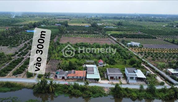 Đất vườn:  Thạnh Hòa, Bến Lức , Long An. Diện tích : 1000mv - Ảnh 1