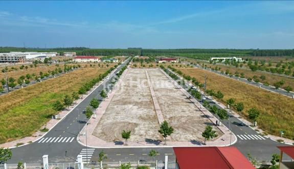 📢Đất liền kề khu hành chính Bàu Bàng - Chủ đi nước ngoài cần bán gấp chỉ 2,5tỷ - Ảnh 1