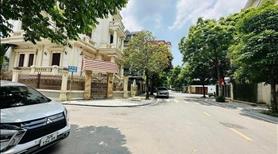 Đất Hiếm, đất biệt thự Vườn Đào DT176m2, MT11m, 99 tỷ Tây Hồ - Ảnh 5