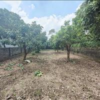 Đất Bình Minh, Khoái Châu, DT281m2, MT8.8m ôtô tải KD, 13.5 tỷ Hưng Yên