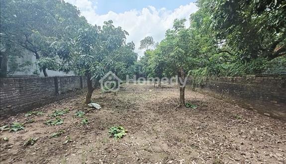 Đất Bình Minh, Khoái Châu, DT281m2, MT8.8m ôtô tải KD, 13.5 tỷ Hưng Yên - Ảnh 1