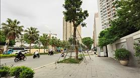 Biệt thự VIP Văn Phú, DT 240m MT12m, đường đôi Văn Khê, 62 tỷ Hà Đông - Ảnh 3