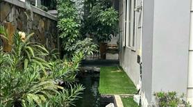 Biệt thự 4T, Văn Quán, DT 231m2, MT10m, 50 tỷ Hà Đông - Ảnh 5