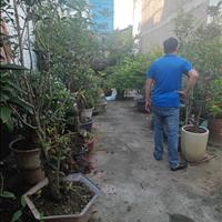 Ngõ ô tô: bán đất mặt phố kinh doanh, diện tích 126m2, mặt tiền 5,6m