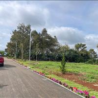Bán 130m2 đất sổ riêng xây dựng -liên hiệp -đức trọng lâm đồng 970 triệu 