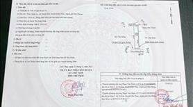Bán 124m2 lô đất 2 mặt tiền tại Xuân La_Thanh Sơn_Kiến Thụy - Ảnh 3