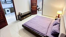 Cho Thuê Căn Hộ Luxury 1 Phòng Ngủ Đầy Đủ Nội Thất Mới Ngay Trung Tâm Thành Phố - Ảnh 3