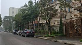 Biệt thự xây thô 3T Cầu Bươu, 360m2, MT20m, 61 tỷ Thanh Trì - Ảnh 4