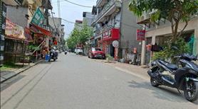 Bán Đất Tặng Nhà Cấp 4 Đang Kinh Doanh Ở Trâu Quỳ, Gia Lâm - Ảnh 2