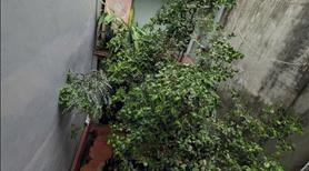 Bán nhà Phúc Tân, bên chẵn, diện tích 80m2, chính chủ - Ảnh 2