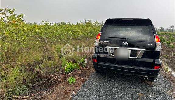3100m(44x65m) đất vườn, chuyển thổ cư - Ảnh 1
