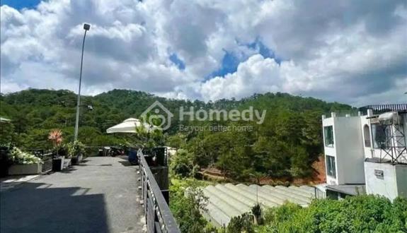 Bán Gấp Đất Biệt Thự View Rừng Thông Đẹp Đường Hoàng Hoa Thám – P.10 – TP. Đà Lạt Giá chỉ 8.3 TỶ - Ảnh 1
