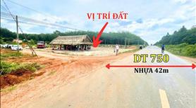 Bán gấp Lô đất mặt tiền DT750, Đường nhựa 42m, 4 làn xe - Ảnh 5