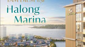 SkyM Hạ Long - 3 Phút đi bộ ra Bãi biển - View Vịnh - Hồ Nhạc Nước - Cơ hội đầu tư siêu tốt  - Ảnh 8