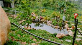 Aman Blao - Đất nền nghỉ dưỡng view cao săn mây siêu đẹp trong khu có cộng đồng cư dân sinh sống - Ảnh 6