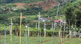 Đất ven Đà Lạt giá chỉ 550 triệu, SHR, view đồi thông mát mẻ - Ảnh 6