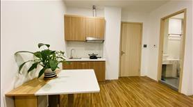 chính chủ giảm giá căn hộ đủ đồ ở ngay tại Đào Tấn, Linh Lang chỉ từ 5tr2/tháng  - Ảnh 2