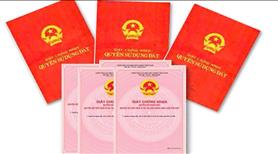 Đất Nền Biển Quất Lâm  sở hữu vị trí vàng giữa trái tim khu nghỉ dưỡng - Ảnh 2