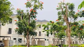 Dự án liên kề Vành Đai 3 - Biệt thự mặt sông giá tốt đầu tư  - Ảnh 10