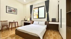 Bán Nhà HXH Đường Mai Thị Lựu Quận 1, 4.7x18m,  thu nhập 60 Tr/tháng chỉ 25 tỷ - Ảnh 6