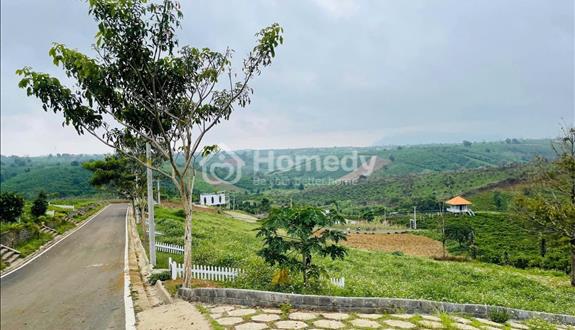 🔥[HOT] Duy nhất còn 1 lô tại NaLi Chill - Homestay and BBQ giá bán chỉ 850TR🔥 - Ảnh 1