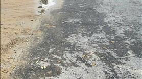 Bán Đất Tặng Nhà cấp 4 trên diện tích 96,3m2 Tại Huỳnh Bá Chánh Ngũ Hành sơn - Ảnh 6
