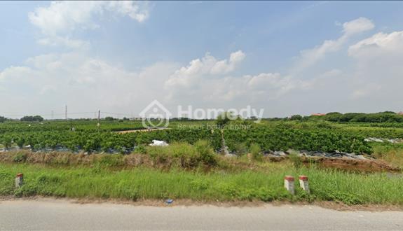 Bán 2ha đất TMDV mặt đường ĐT 379 Văn Giang, Hưng Yên. Đã có giấy phép xây dựng - Ảnh 1
