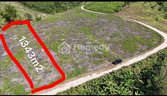 Chính chủ bán đất vườn Khánh Trung giá rẻ - Ảnh 1