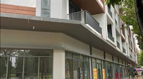 Cho thuê shophouse Artisan Park TP mới Bình Dương 95m2 trực tiếp CĐT Gamuda Land - Ảnh 8